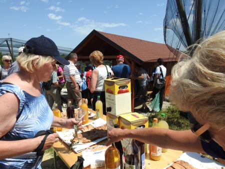 12. pohod Pomlad v prleških goricah Dan odprtih kleti in veselih ljudi, 28.5.2016 55